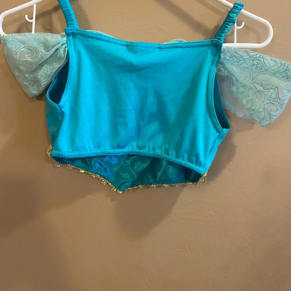 Disney Parks Princess Jasmine Costume size Large 10/12